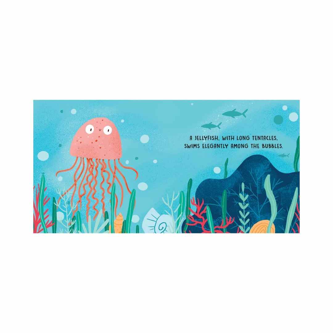 Sassi Board Book - The sea