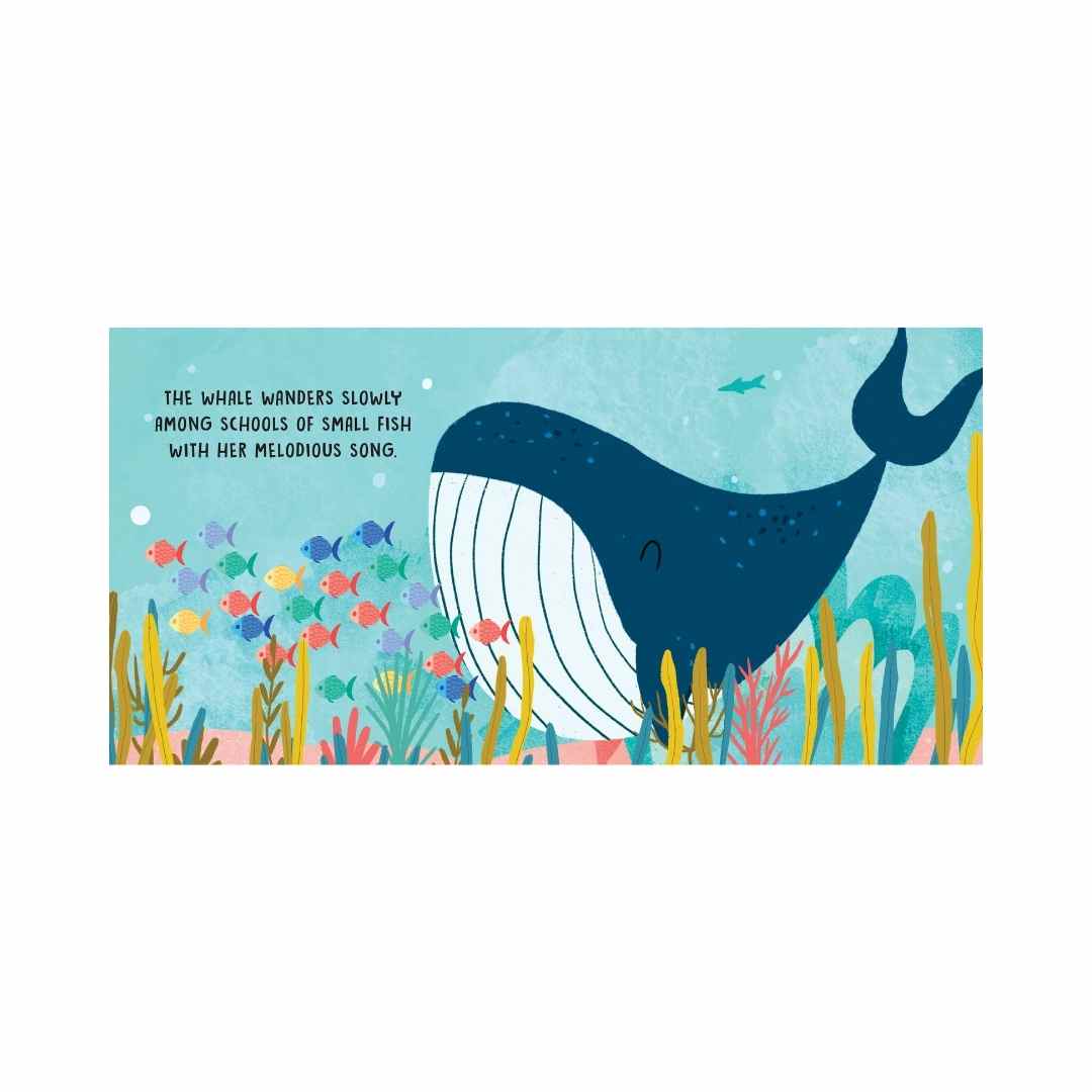 Sassi Board Book - The sea