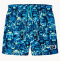 Speedo - Boys Board Shorts Volley 15" - Nightwatch/Citrusgrn