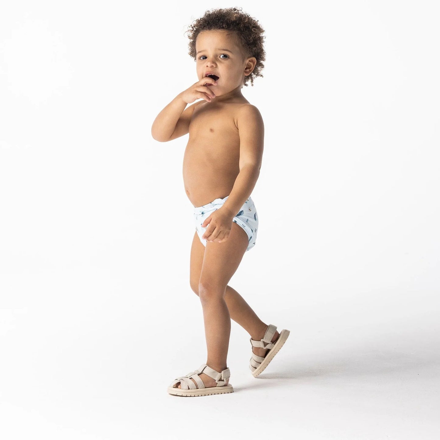 Swim Nappy - OSFA Whaley