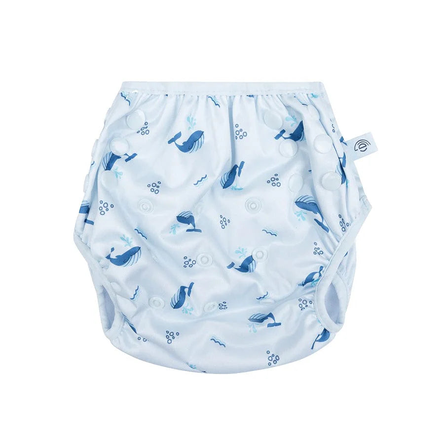 Swim Nappy - OSFA Whaley
