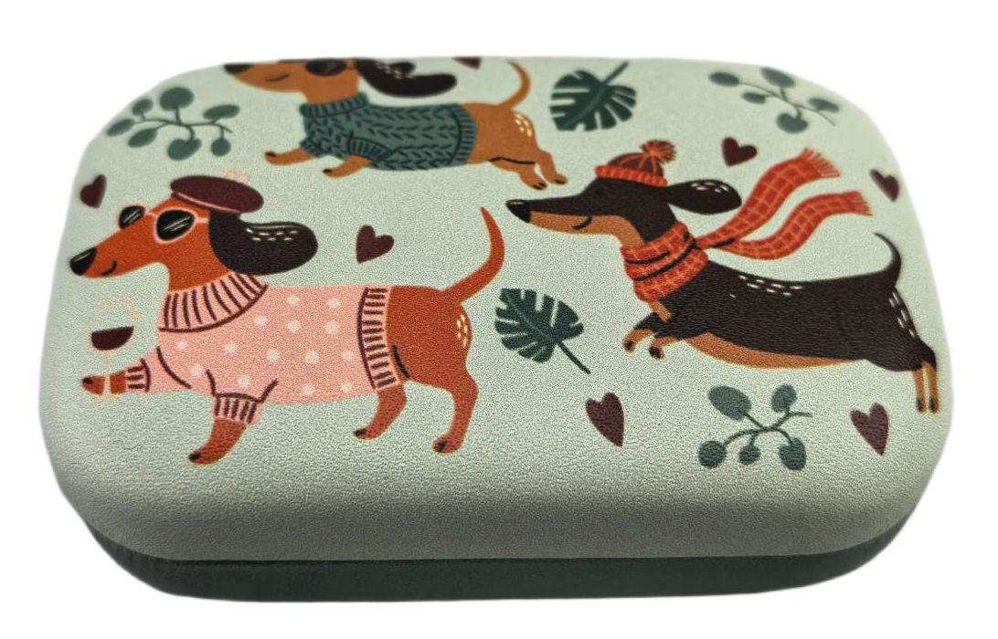 Mini Accessories Case